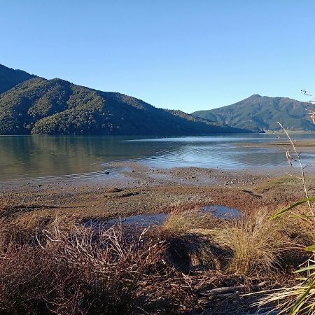 Marlborough Sounds Accommodation 792 Havelock Dış mekan fotoğraf